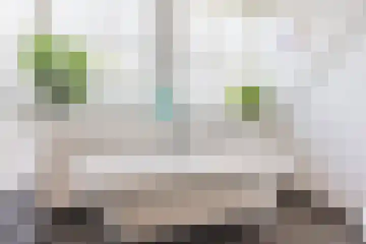 Pottenbakkersveste 6 Arnhem thumbnail 29