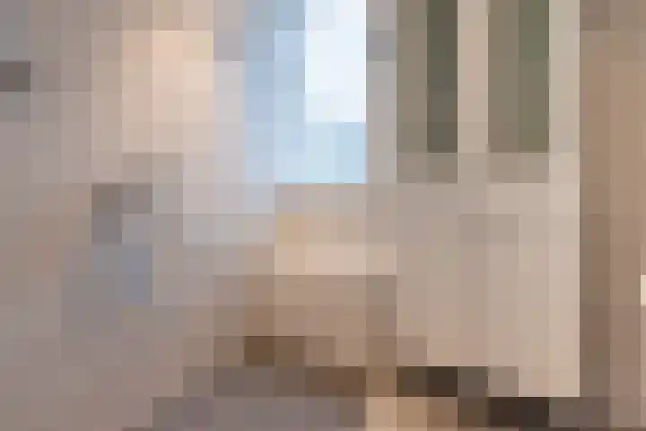 Pottenbergen 2 Ossendrecht thumbnail 21