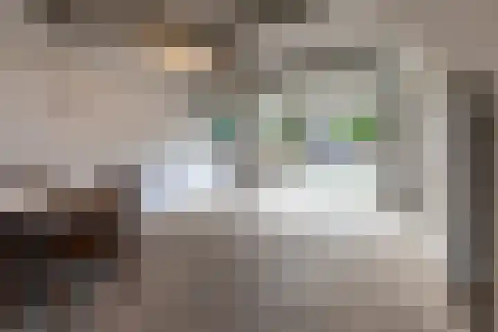 Pottenbergen 2 Ossendrecht thumbnail 32