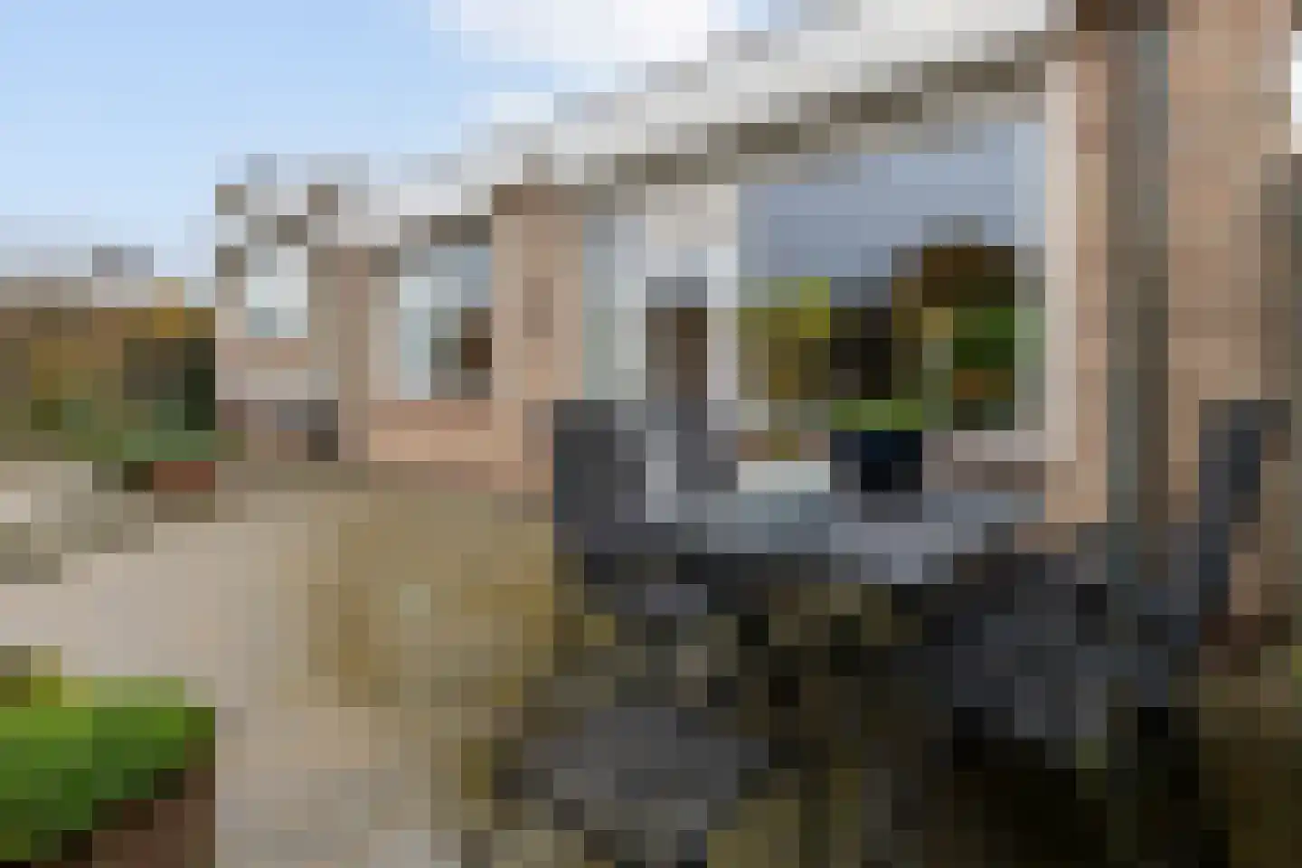 Pottenbergen 2 Ossendrecht thumbnail 41