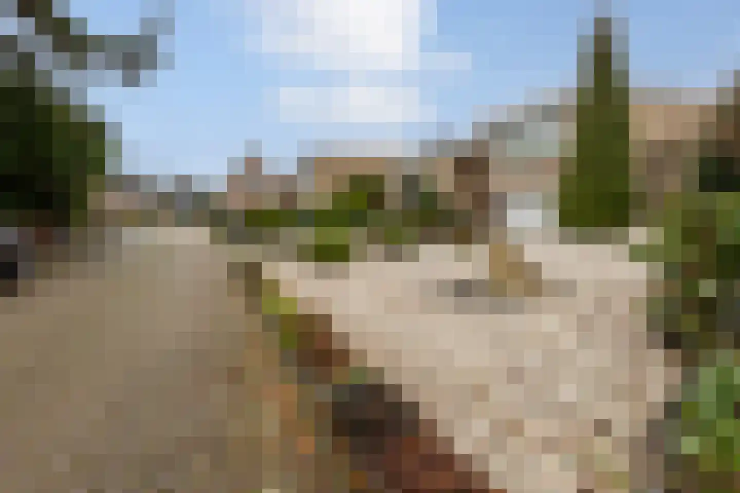 Pottenbergen 2 Ossendrecht thumbnail 49