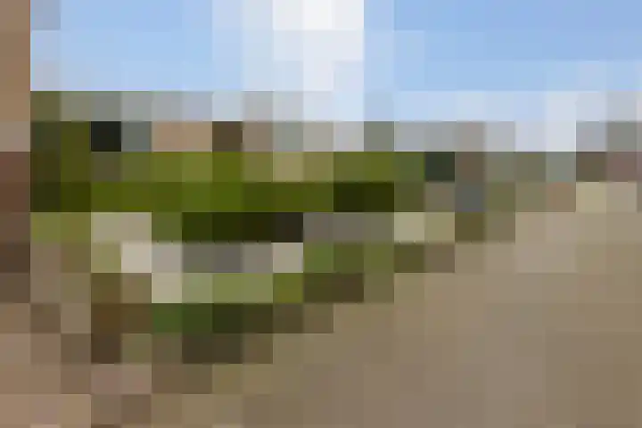 Pottenbergen 2 Ossendrecht thumbnail 50