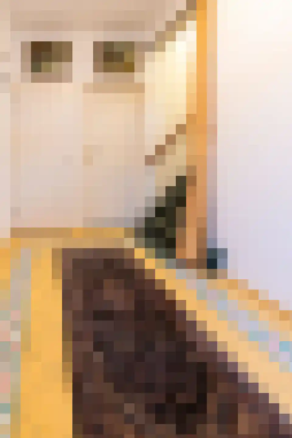 Pottenbergen 2 Ossendrecht thumbnail 6