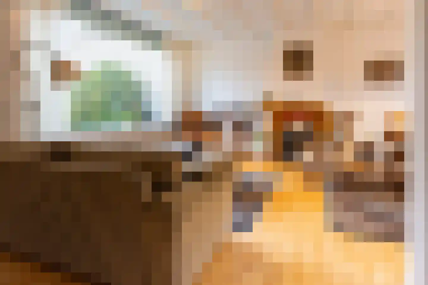 Pottenbergen 2 Ossendrecht thumbnail 8