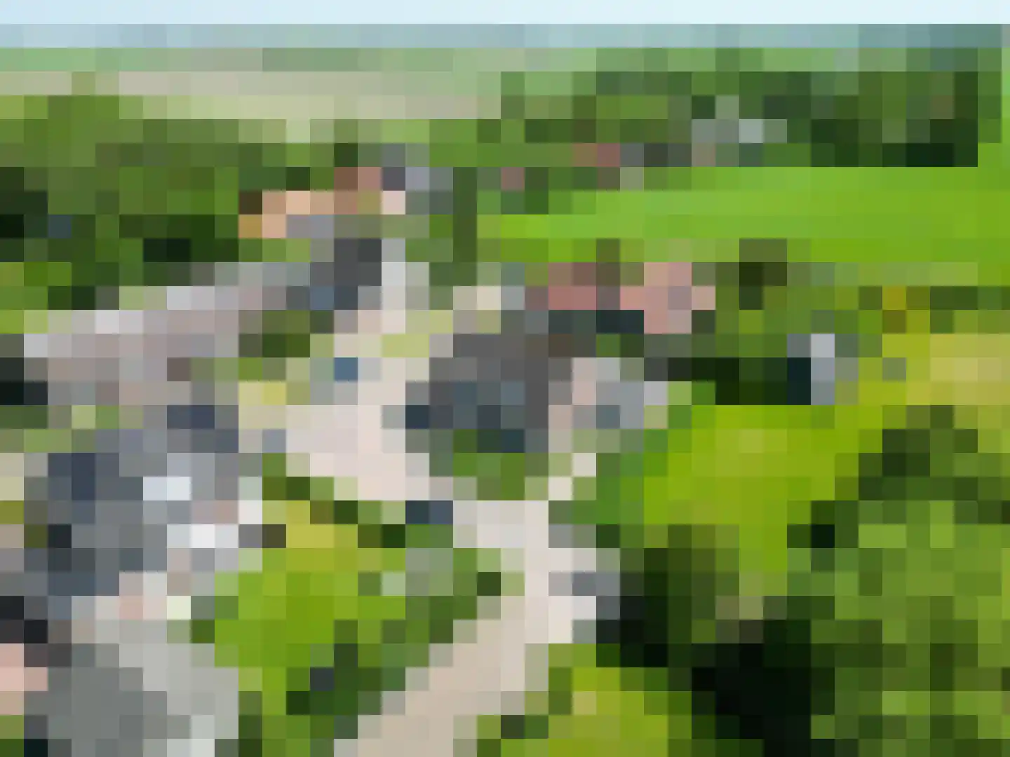 Potterslân 21 Peins thumbnail 10