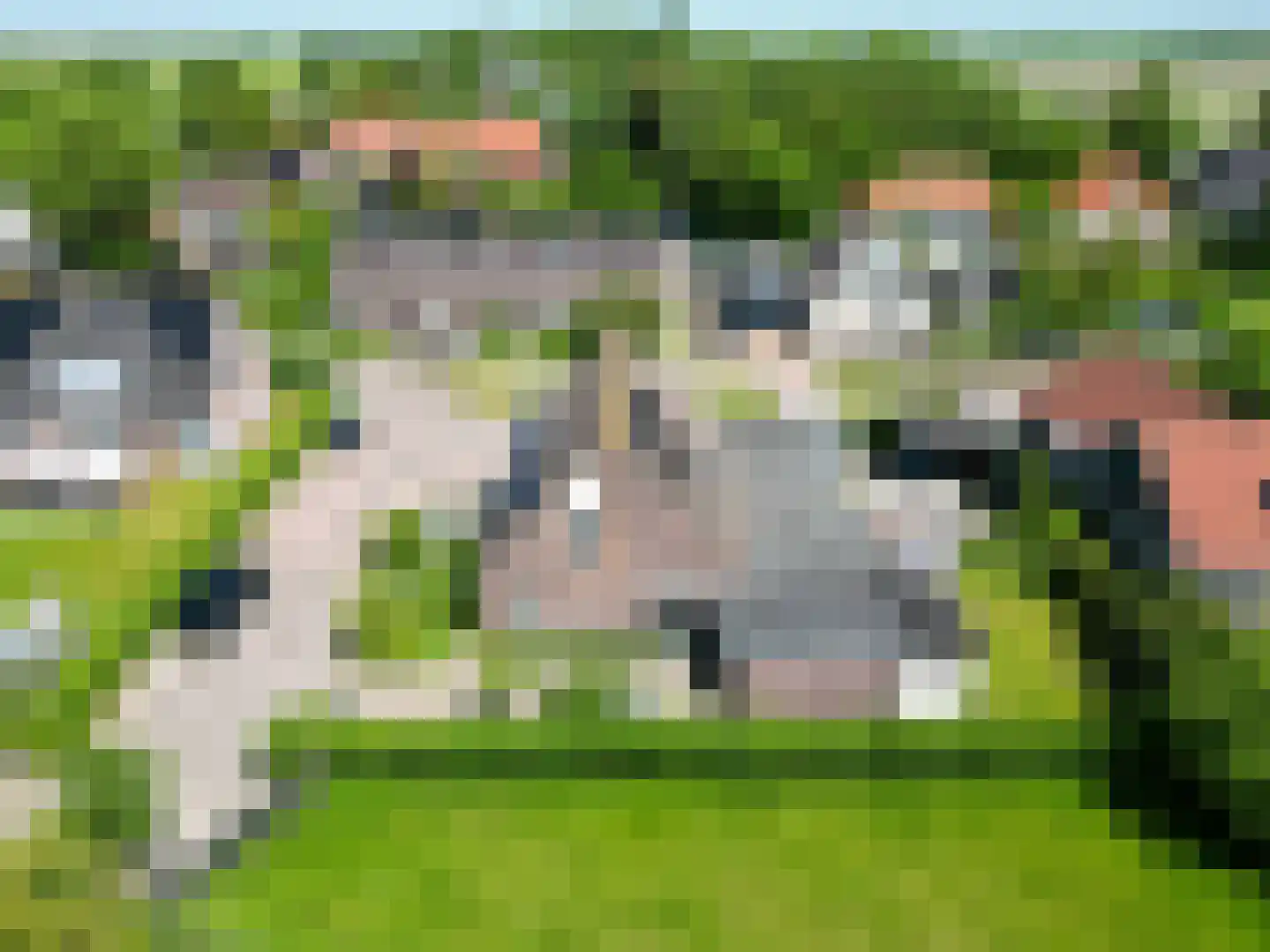 Potterslân 21 Peins thumbnail 12