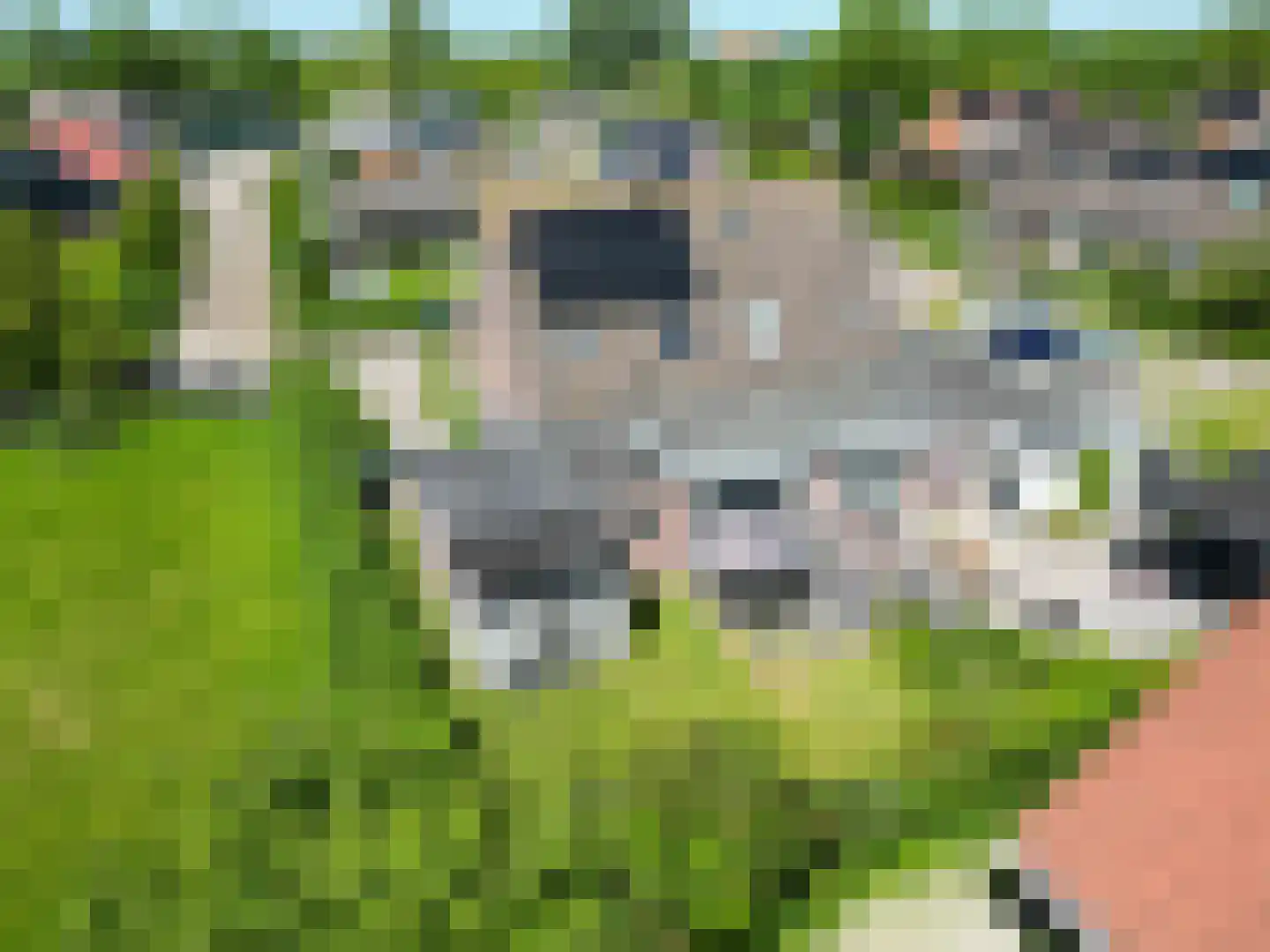Potterslân 21 Peins thumbnail 7
