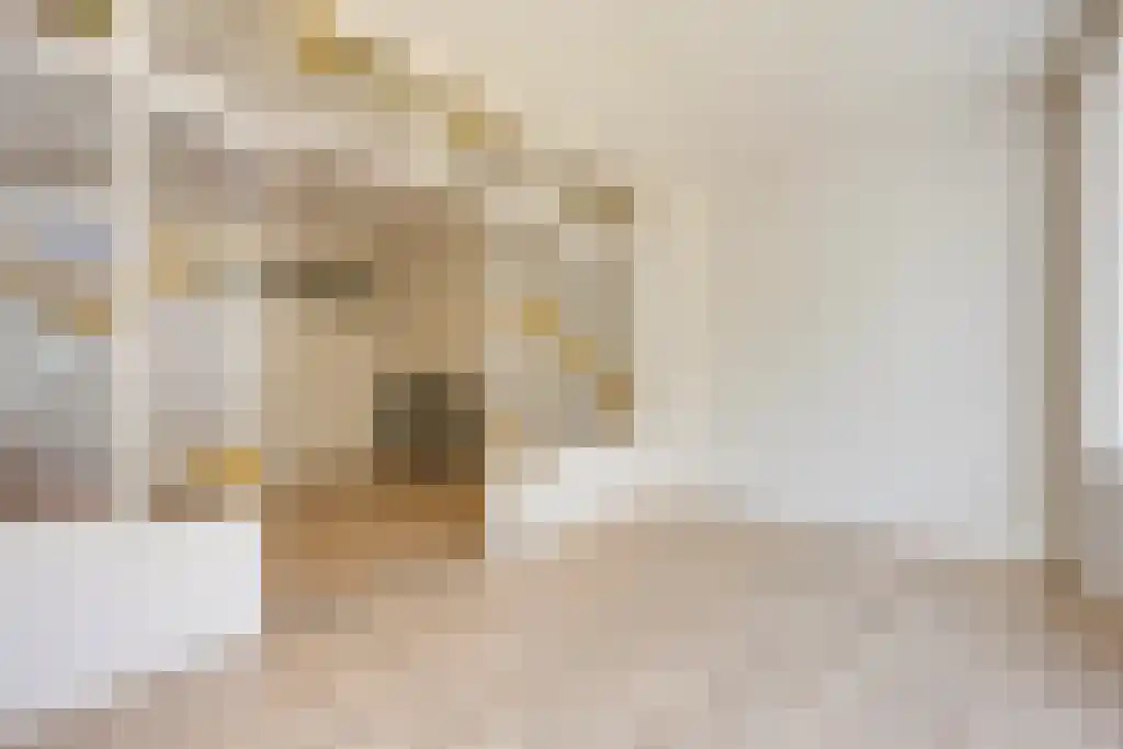 Potterstraat 12 E Utrecht thumbnail 6