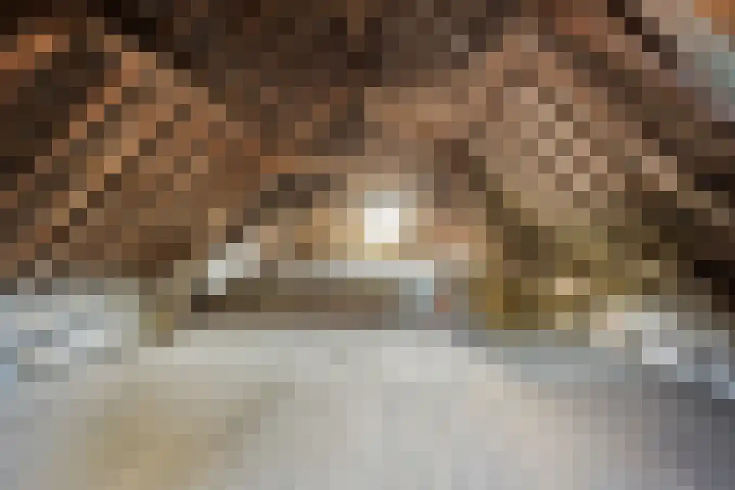 Potterstraat 18 a Bergen op Zoom thumbnail 38