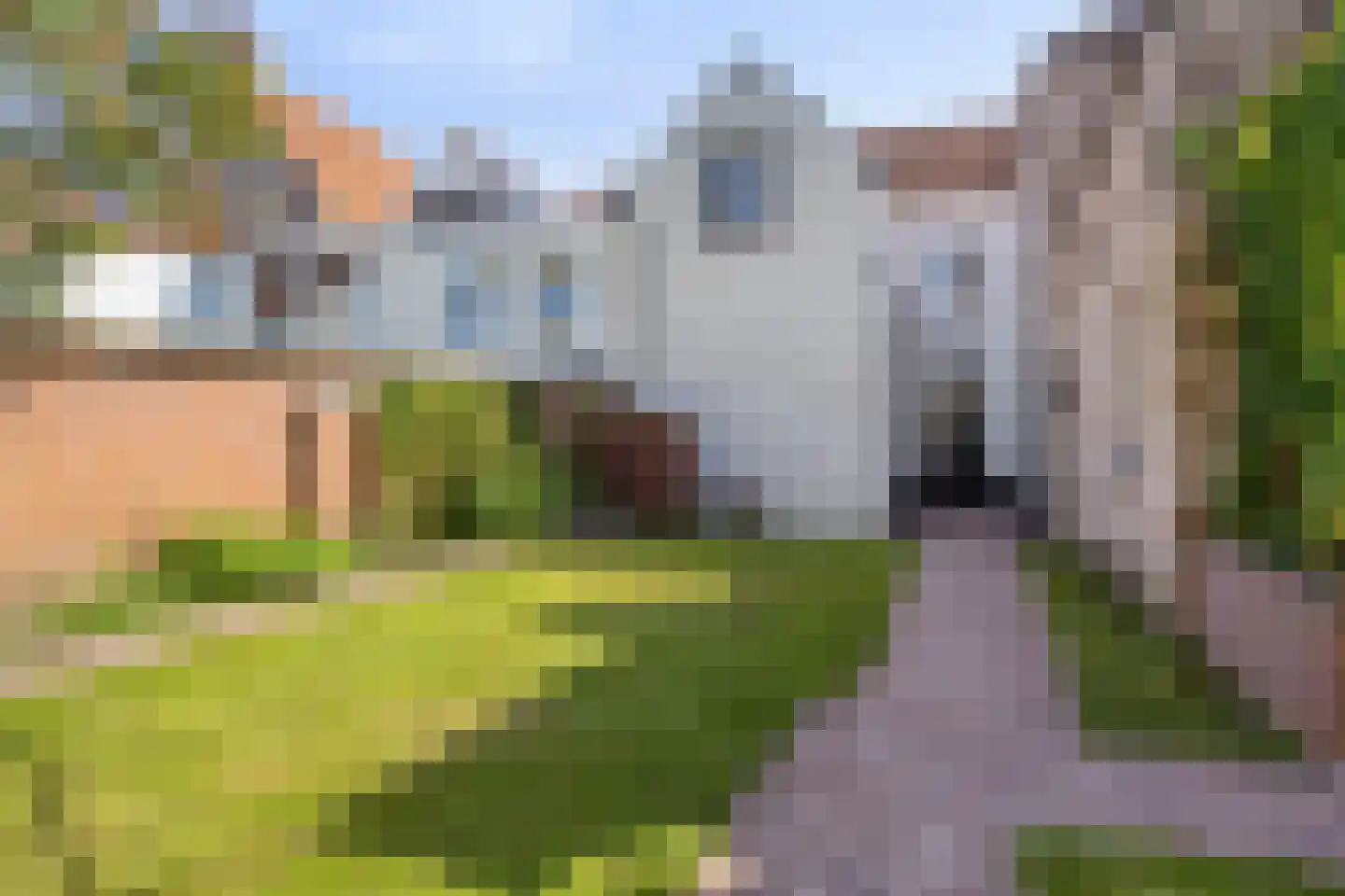 Potterstraat 18 a Bergen op Zoom thumbnail 41