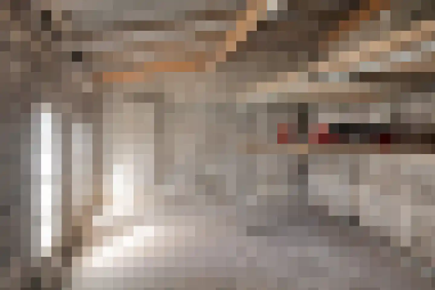 Potterstraat 18 a Bergen op Zoom thumbnail 47