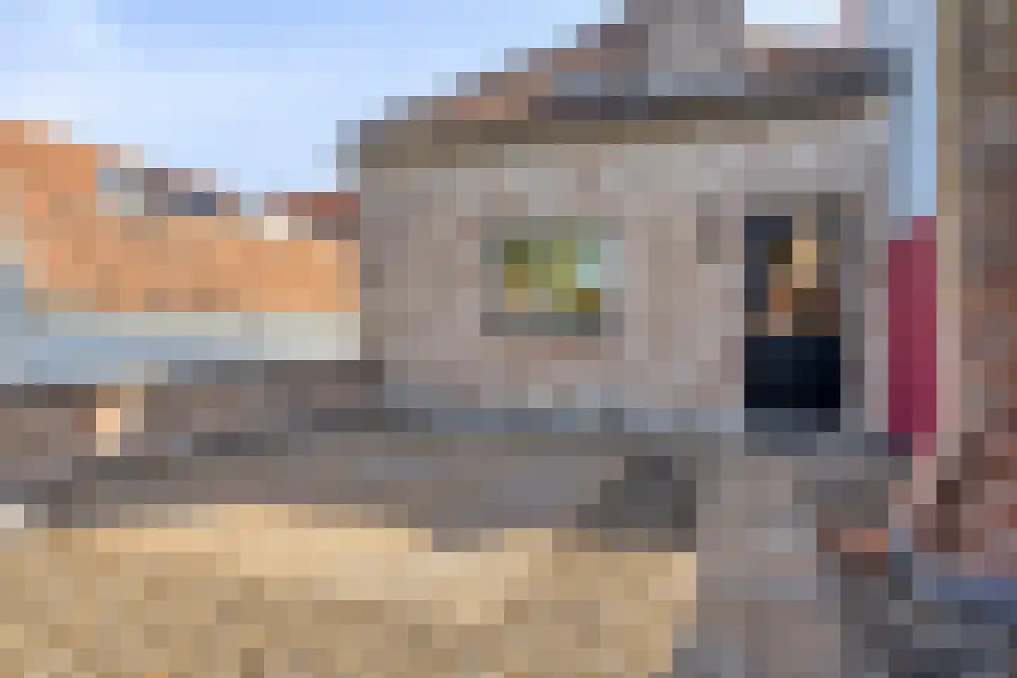 Potterstraat 18 a Bergen op Zoom thumbnail 52