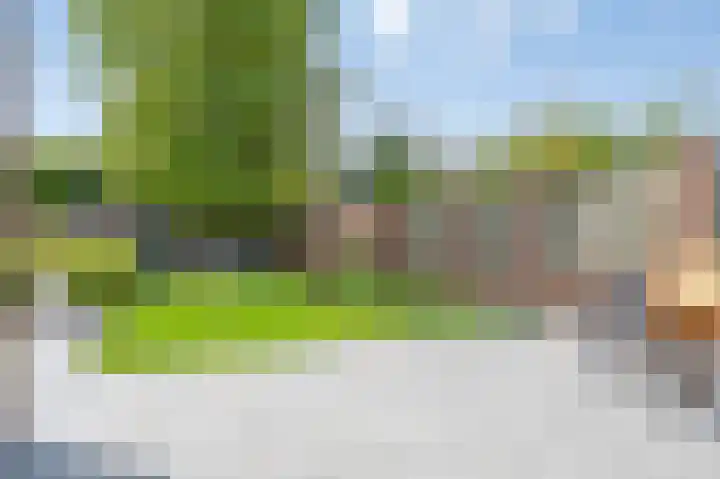 Potterstraat 19 Spaubeek thumbnail 10