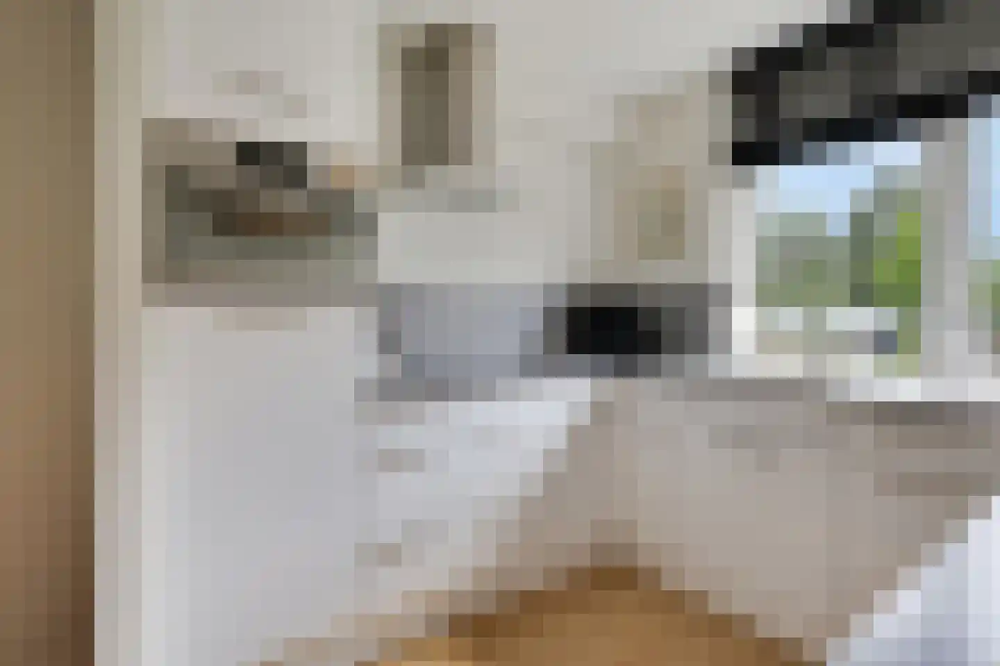 Potterstraat 20 Duiven thumbnail 15