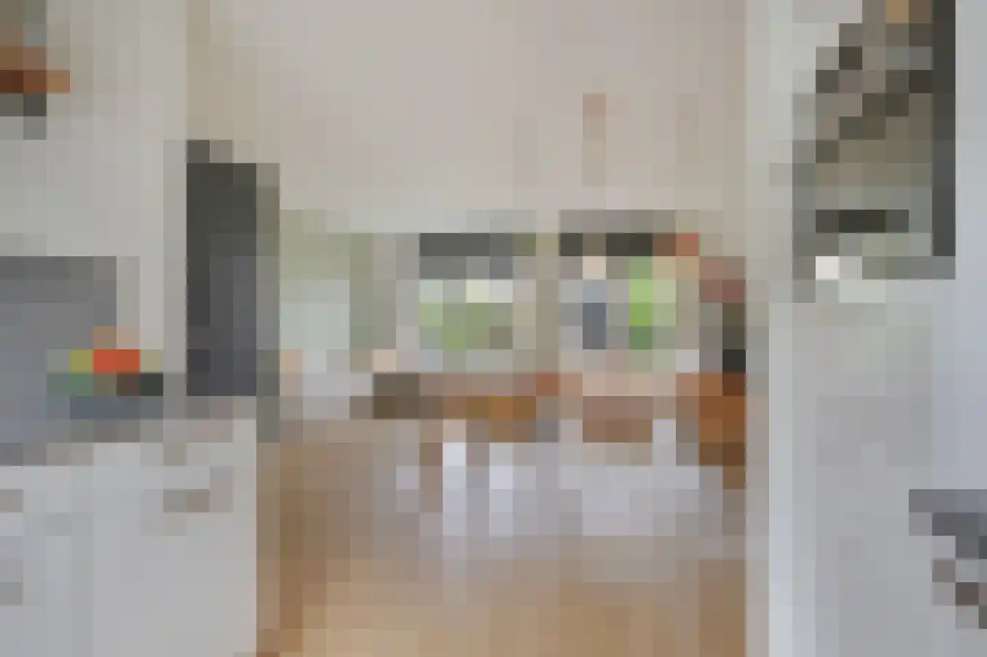 Potterstraat 20 Duiven thumbnail 17