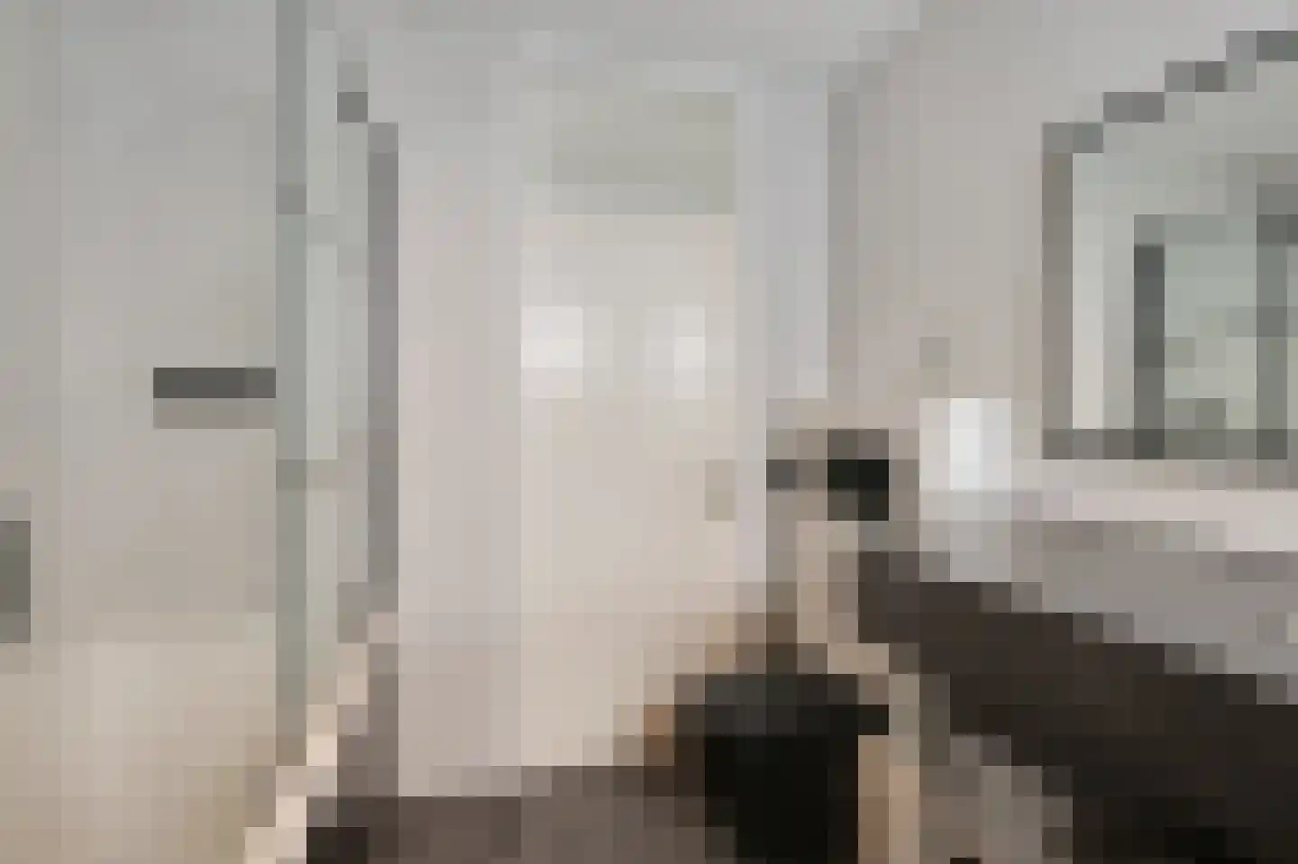 Potterstraat 20 Duiven thumbnail 25