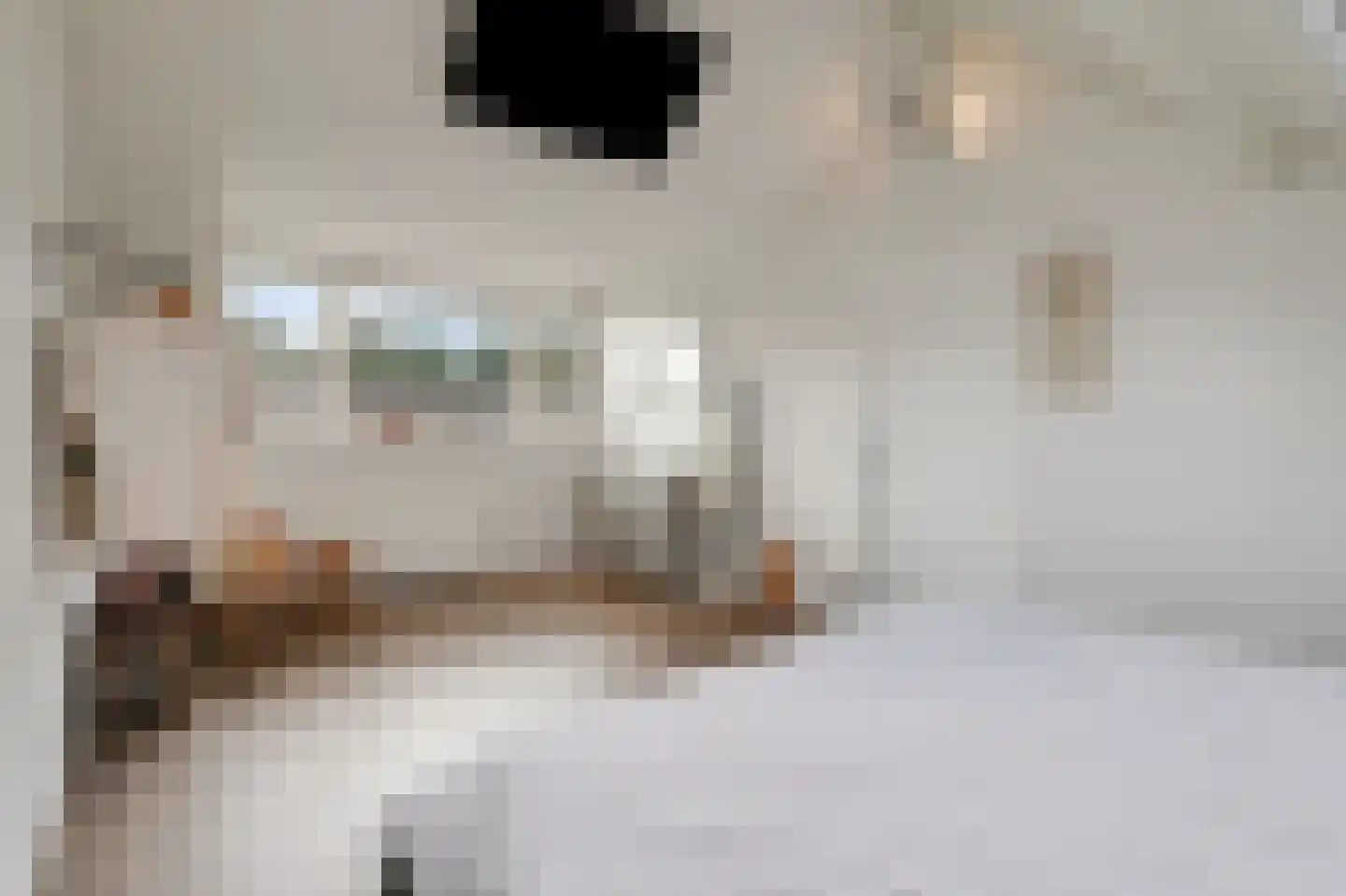 Potterstraat 20 Duiven thumbnail 31