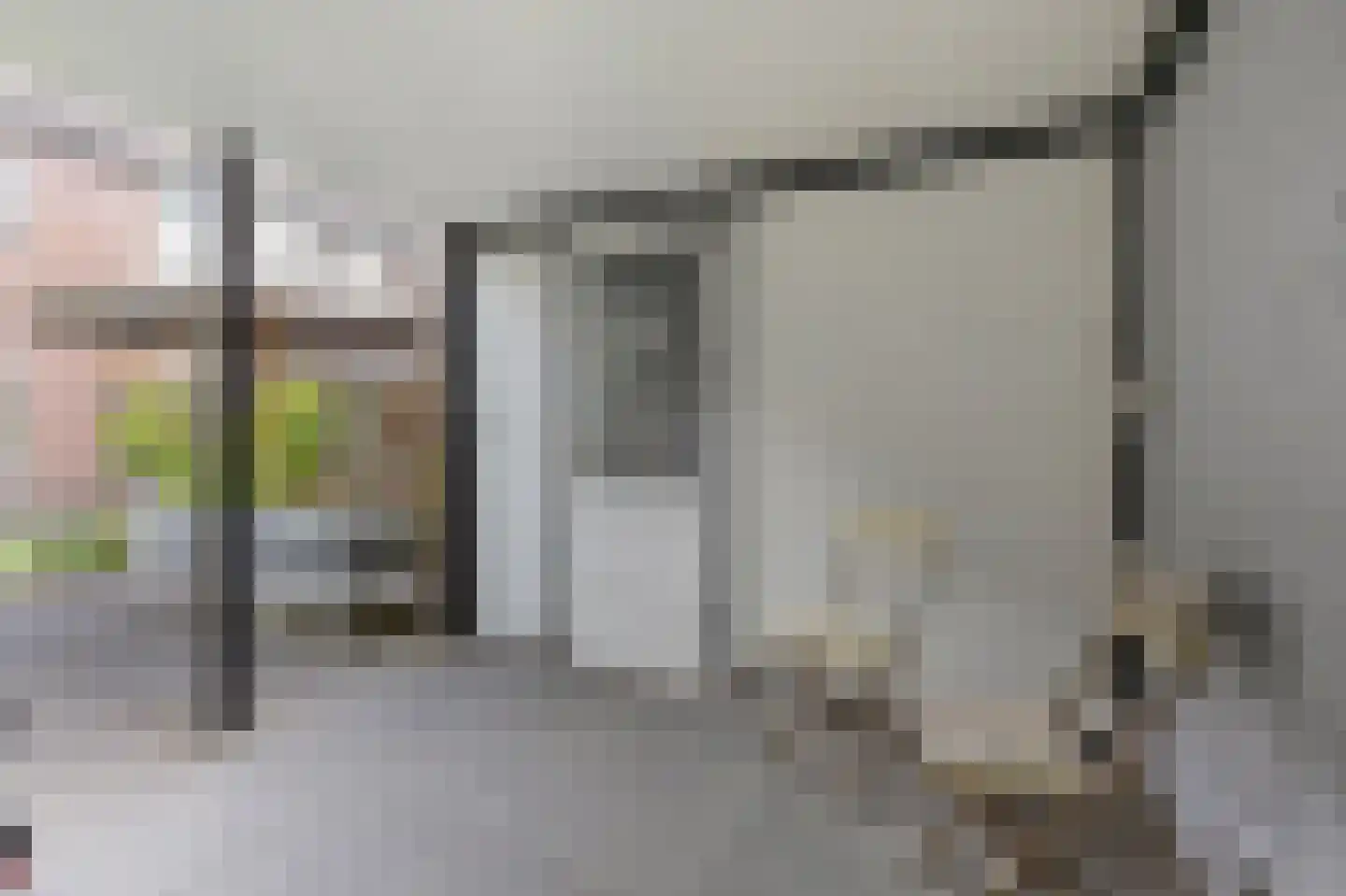 Potterstraat 20 Duiven thumbnail 39