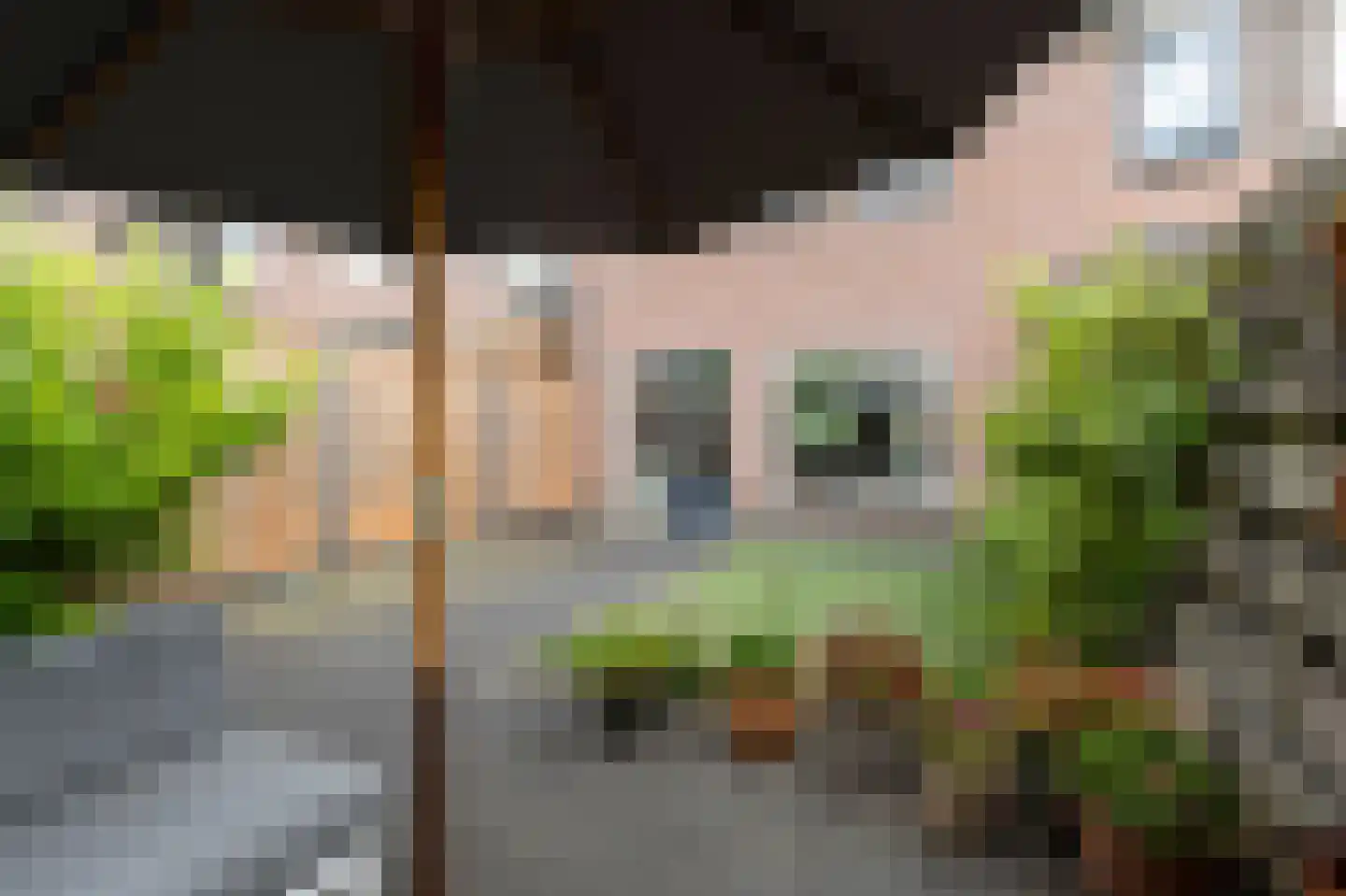 Potterstraat 20 Duiven thumbnail 41