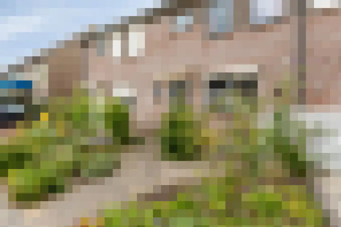 Potterstraat 20 Duiven thumbnail 44