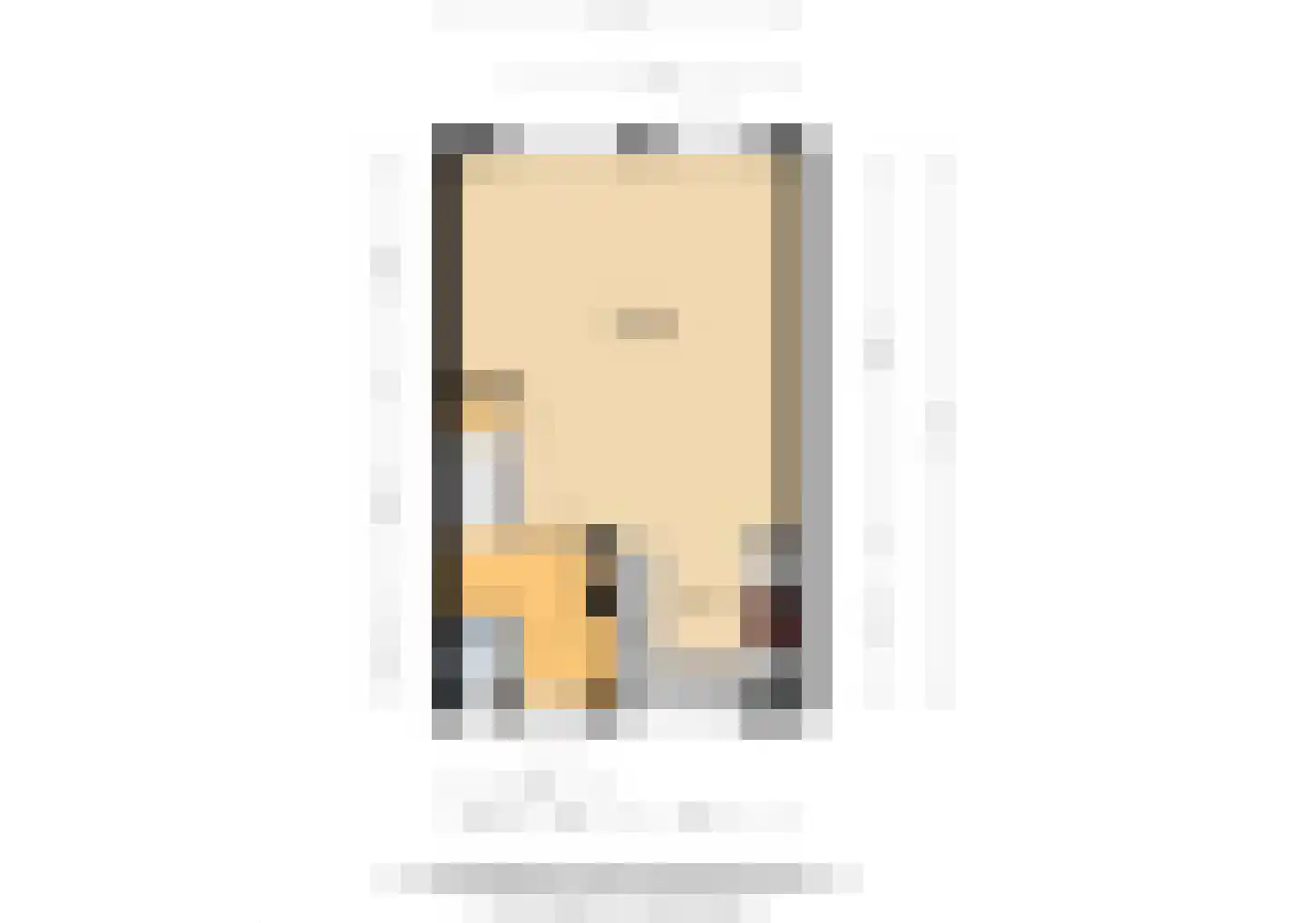Potterstraat 20 Duiven thumbnail 51