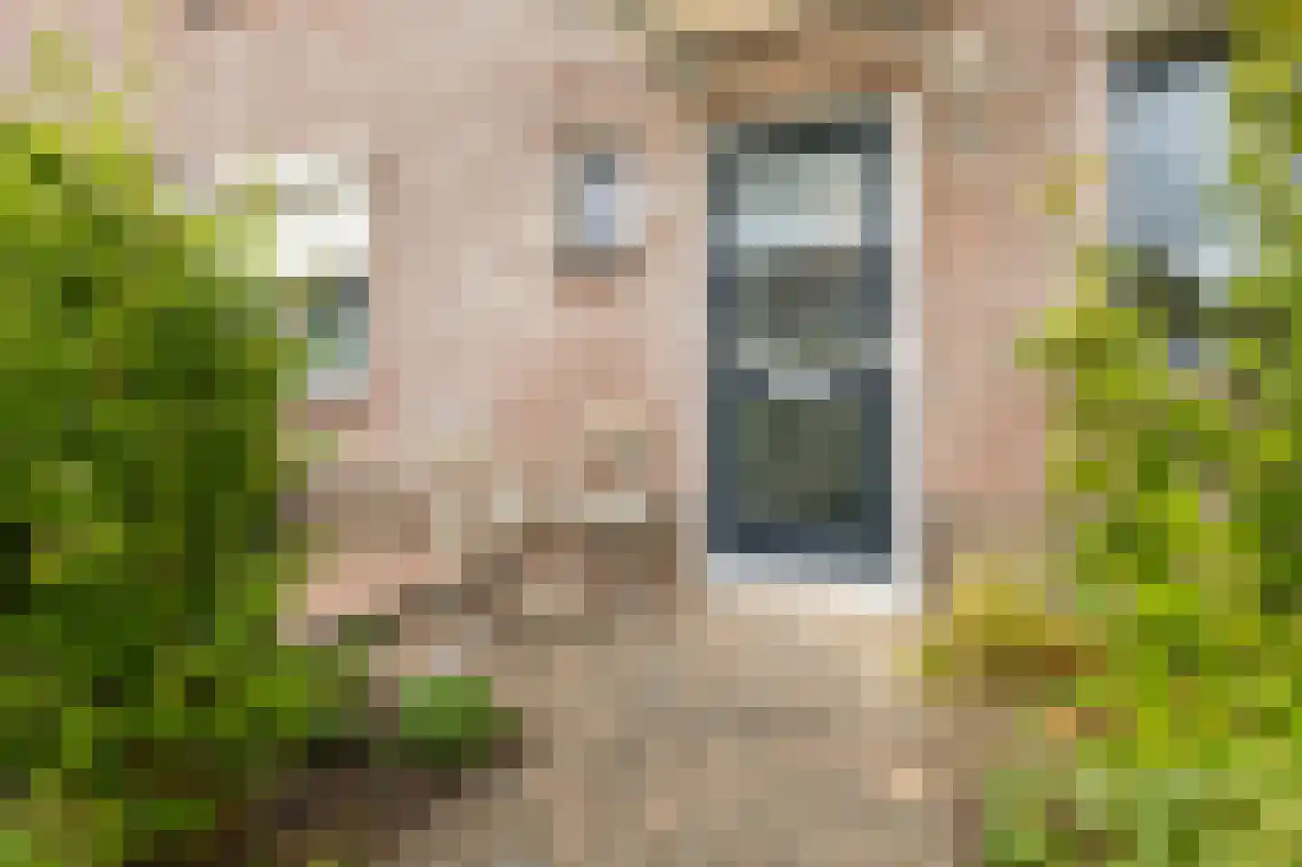 Potterstraat 20 Duiven thumbnail 7