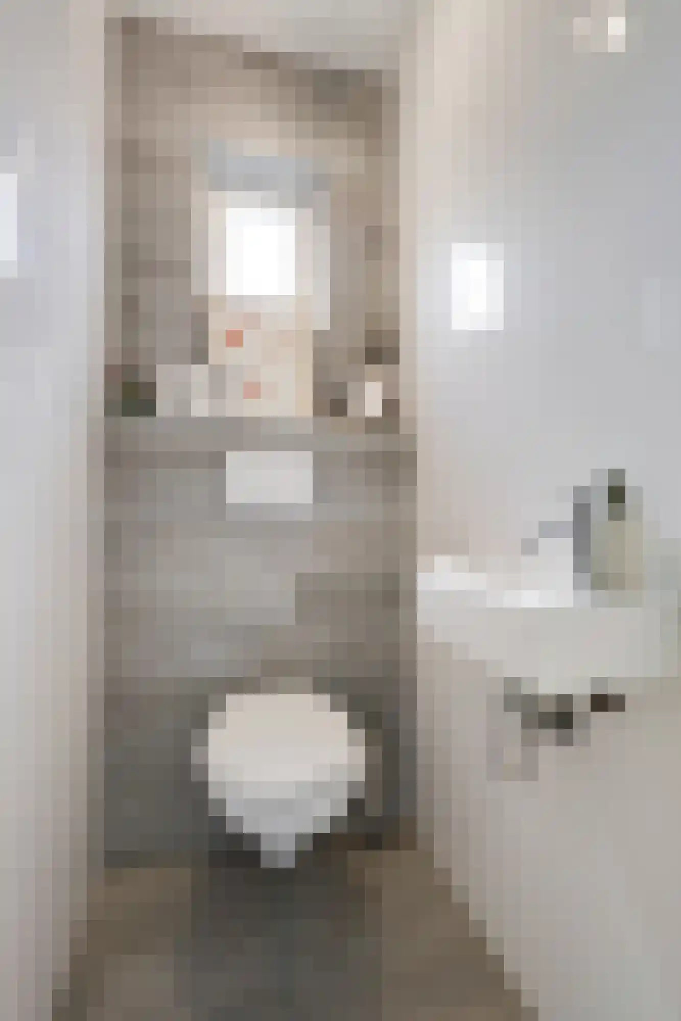 Potterstraat 20 Duiven thumbnail 9