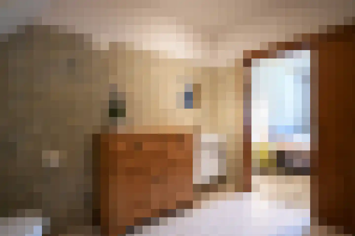 Potterstraat 29 Spaubeek thumbnail 15
