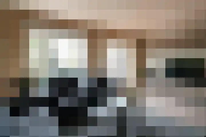 Potterstraat 33 Duiven thumbnail 16