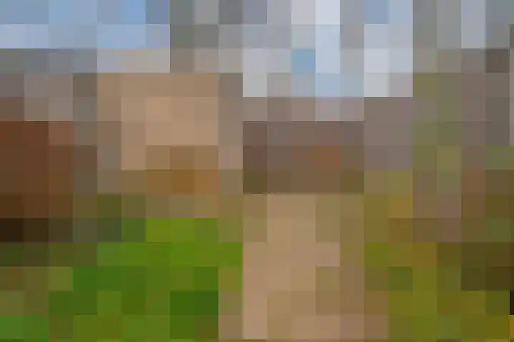 Potterstraat 33 Duiven thumbnail 30