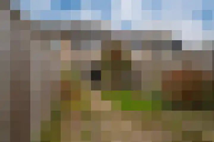 Potterstraat 33 Duiven thumbnail 31