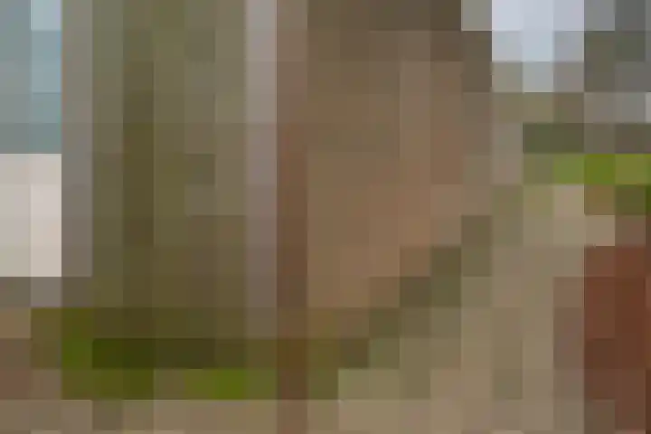 Potterstraat 33 Duiven thumbnail 32