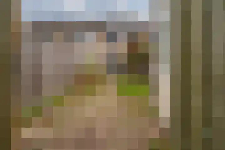 Potterstraat 33 Duiven thumbnail 33
