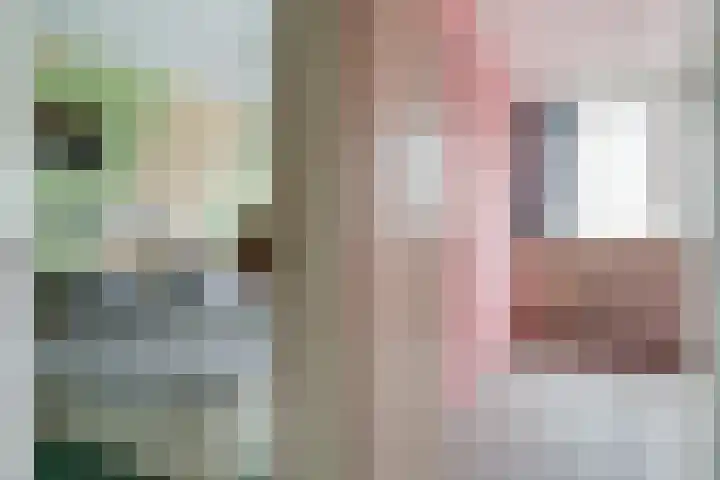Potterstraat 33 Duiven thumbnail 43