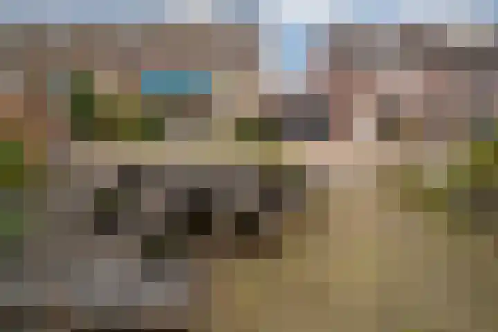 Potterstraat 33 Duiven thumbnail 58