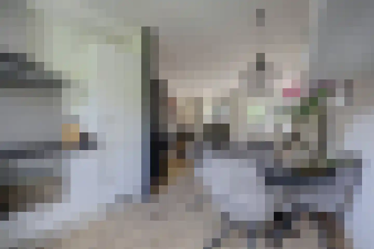 Potterstraat 35 Duiven thumbnail 16