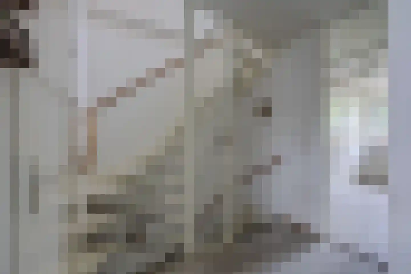 Potterstraat 35 Duiven thumbnail 18