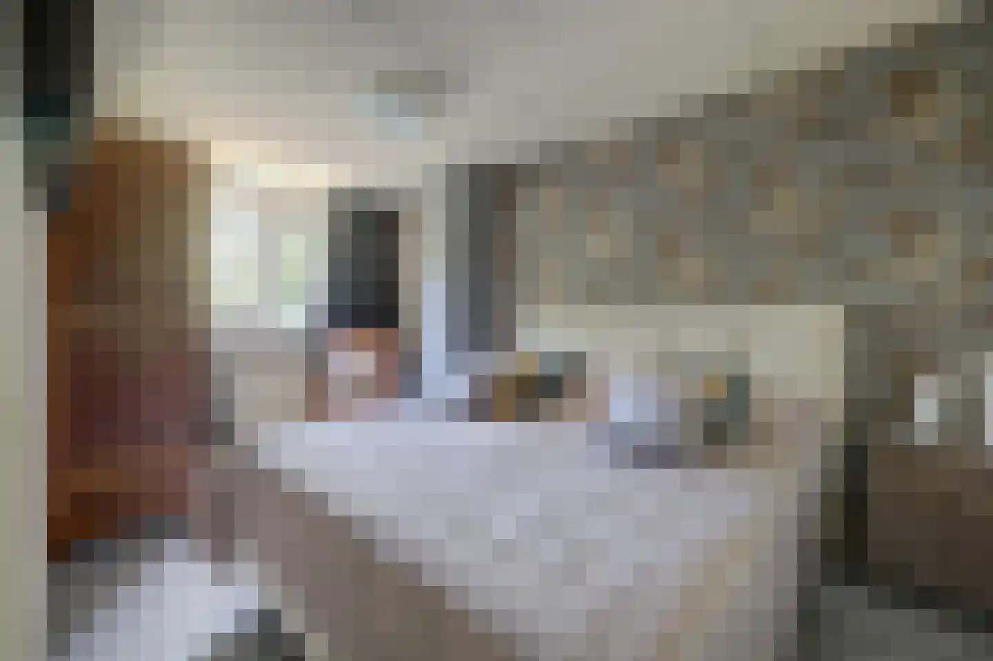 Potterstraat 35 Duiven thumbnail 20