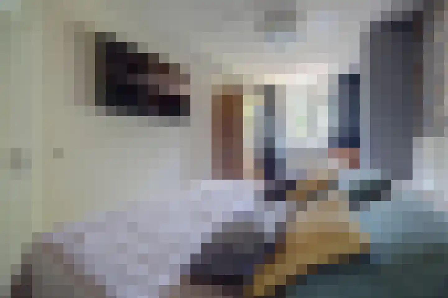 Potterstraat 35 Duiven thumbnail 21
