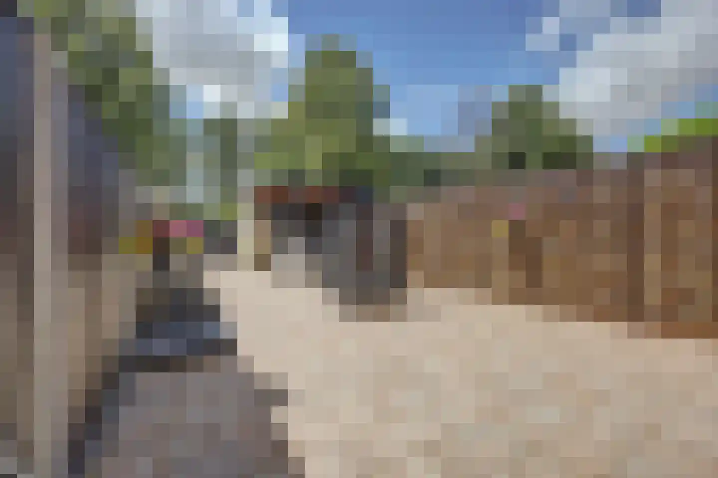 Potterstraat 35 Duiven thumbnail 33