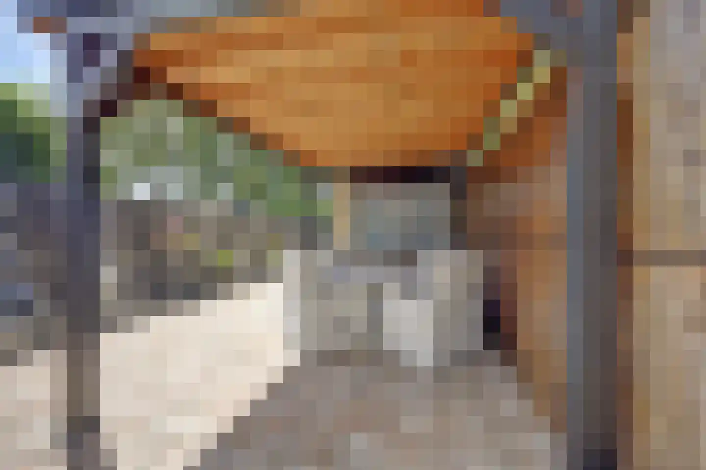 Potterstraat 35 Duiven thumbnail 5
