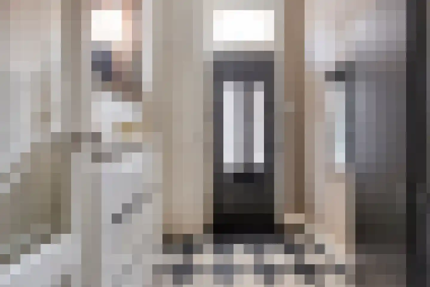 Potterstraat 42 Bergen op Zoom thumbnail 10