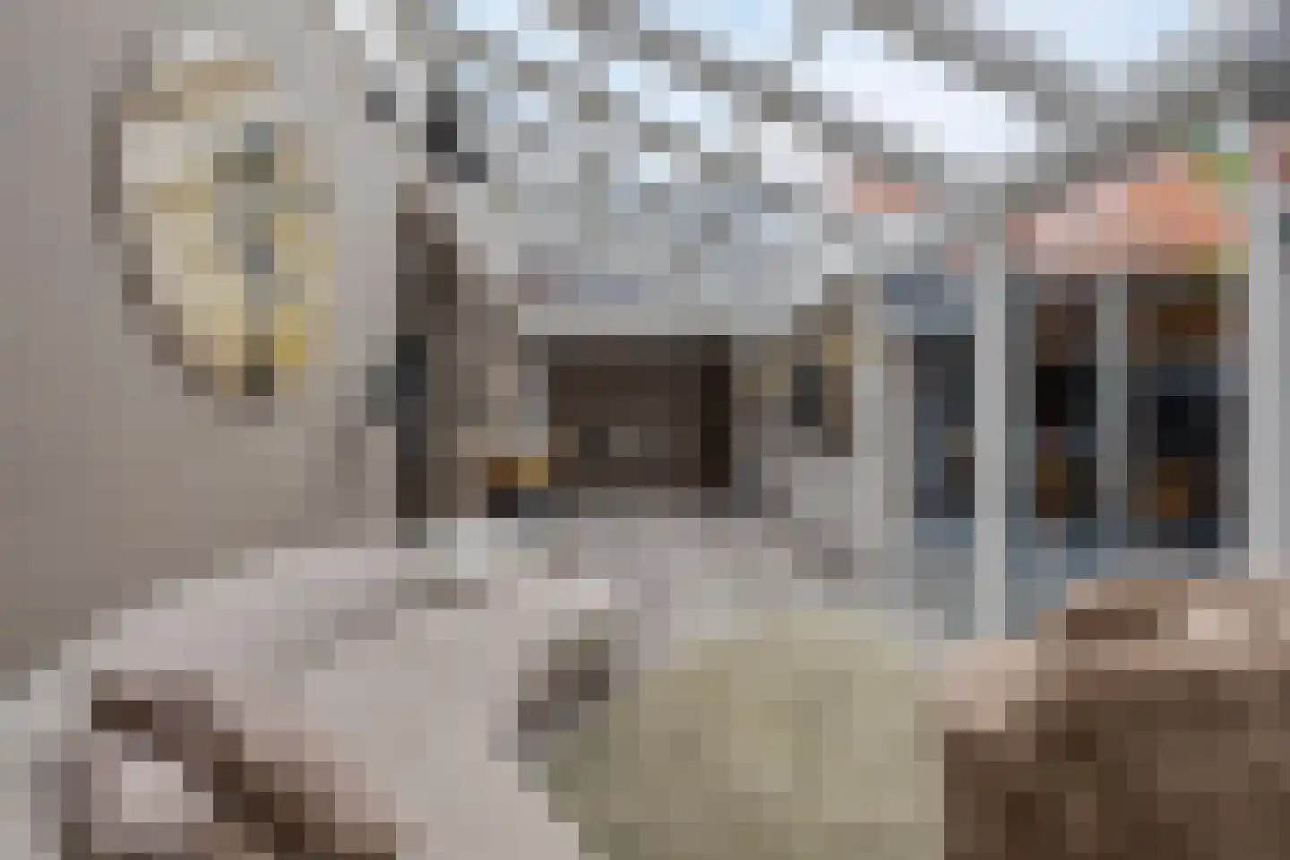Potterstraat 42 Bergen op Zoom thumbnail 18