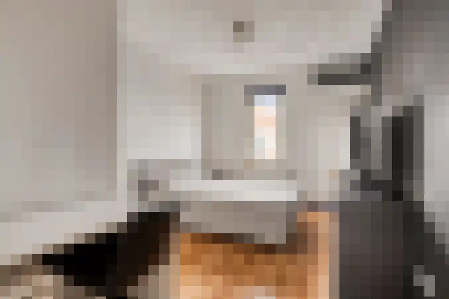 Potterstraat 42 Bergen op Zoom thumbnail 36