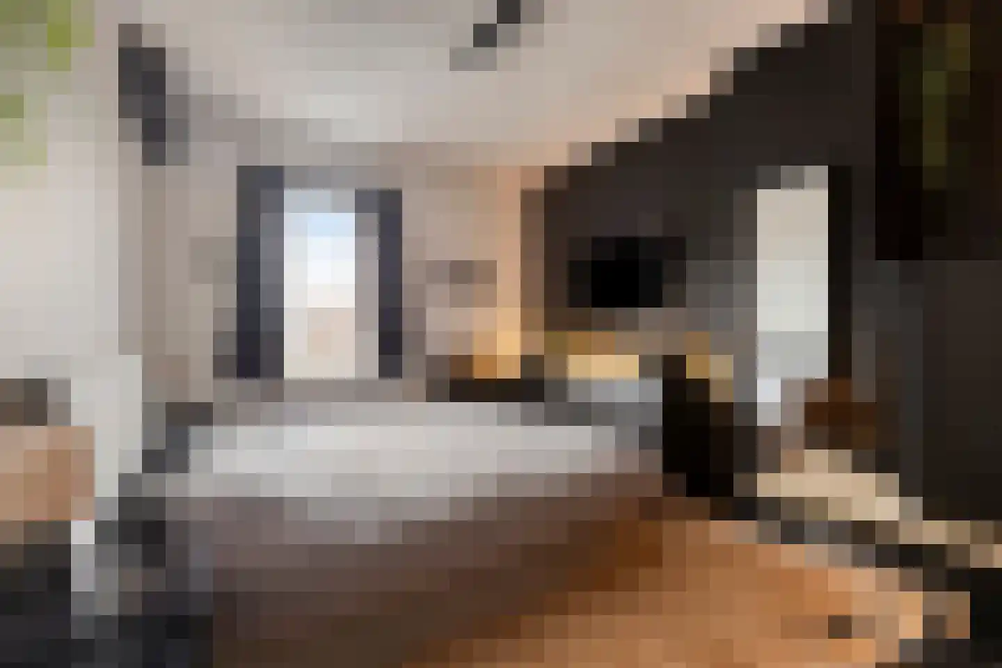 Potterstraat 42 Bergen op Zoom thumbnail 37