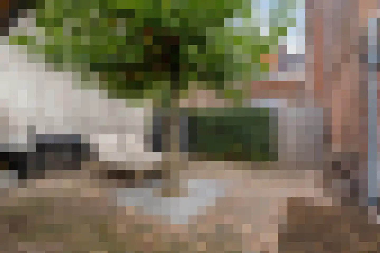 Potterstraat 42 Bergen op Zoom thumbnail 39