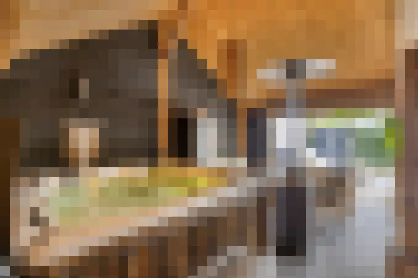 Potterstraat 42 Bergen op Zoom thumbnail 45