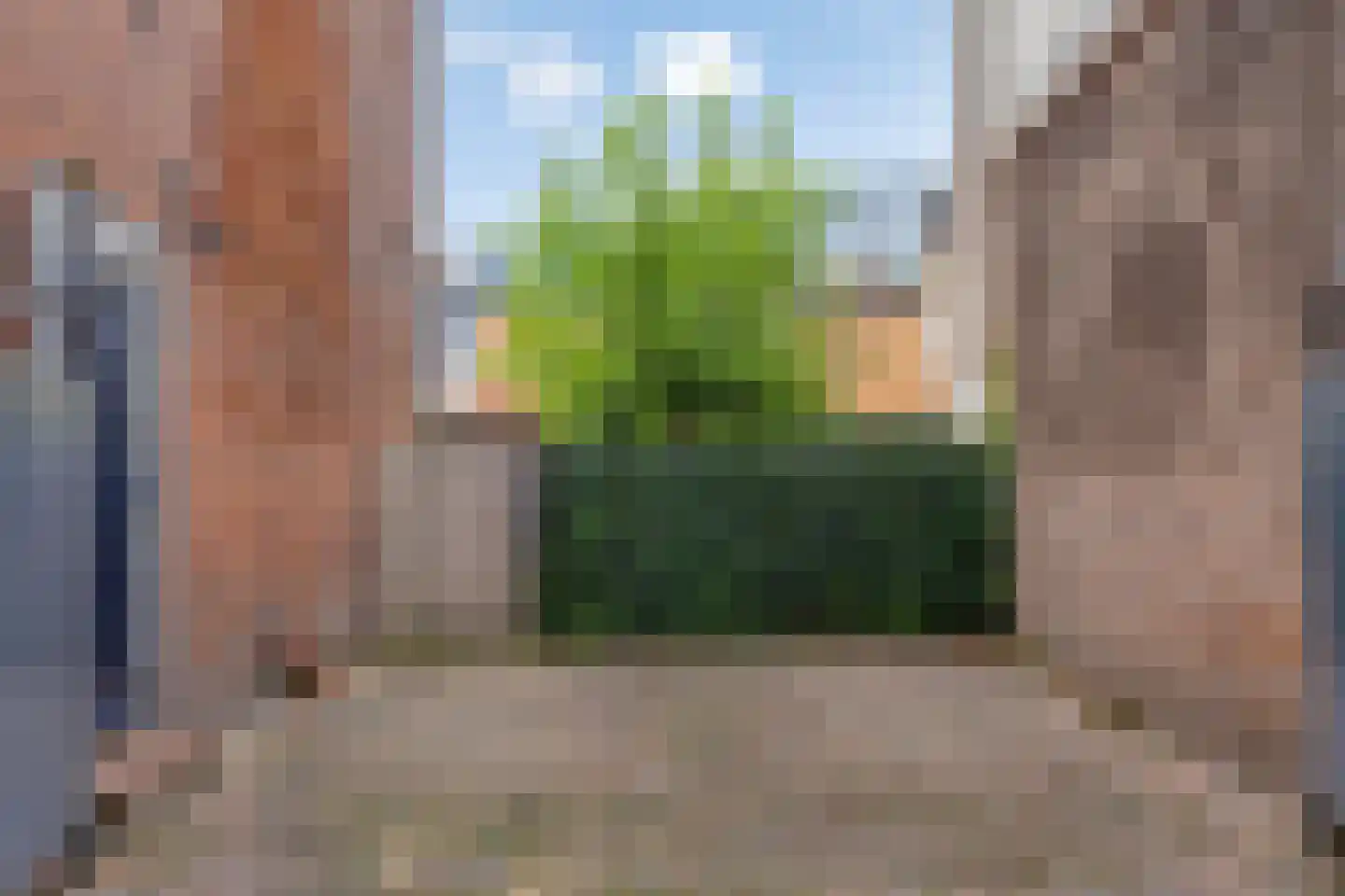 Potterstraat 42 Bergen op Zoom thumbnail 7