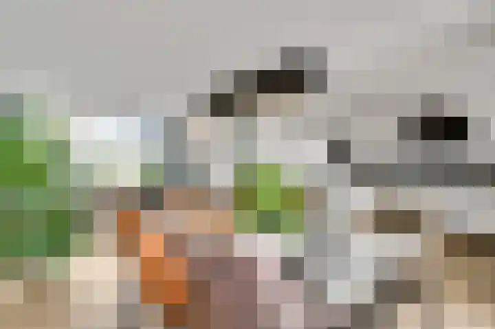 Potterstraat 47 Spaubeek thumbnail 7