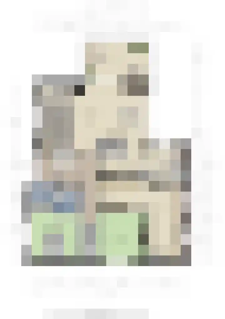 Pottumsestraat 1 IJzendoorn thumbnail 101